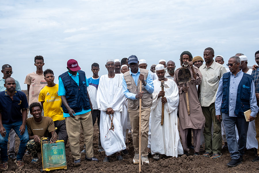 FAO staff and smallholder farmers in Al Jazirah, working together to ensure a successful agricultural season. 15 July 2025. Roweina village, South Al Jazirah locality, Al Jazirah State, Sudan. Photo credit: FAO/Mohamed Ahmed.